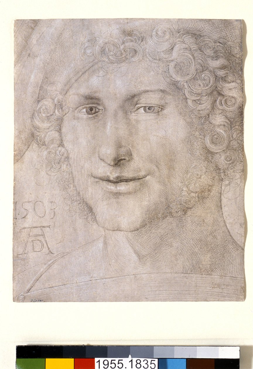 Bir Genç Adamın Başı, 1503 by Albrecht Dürer