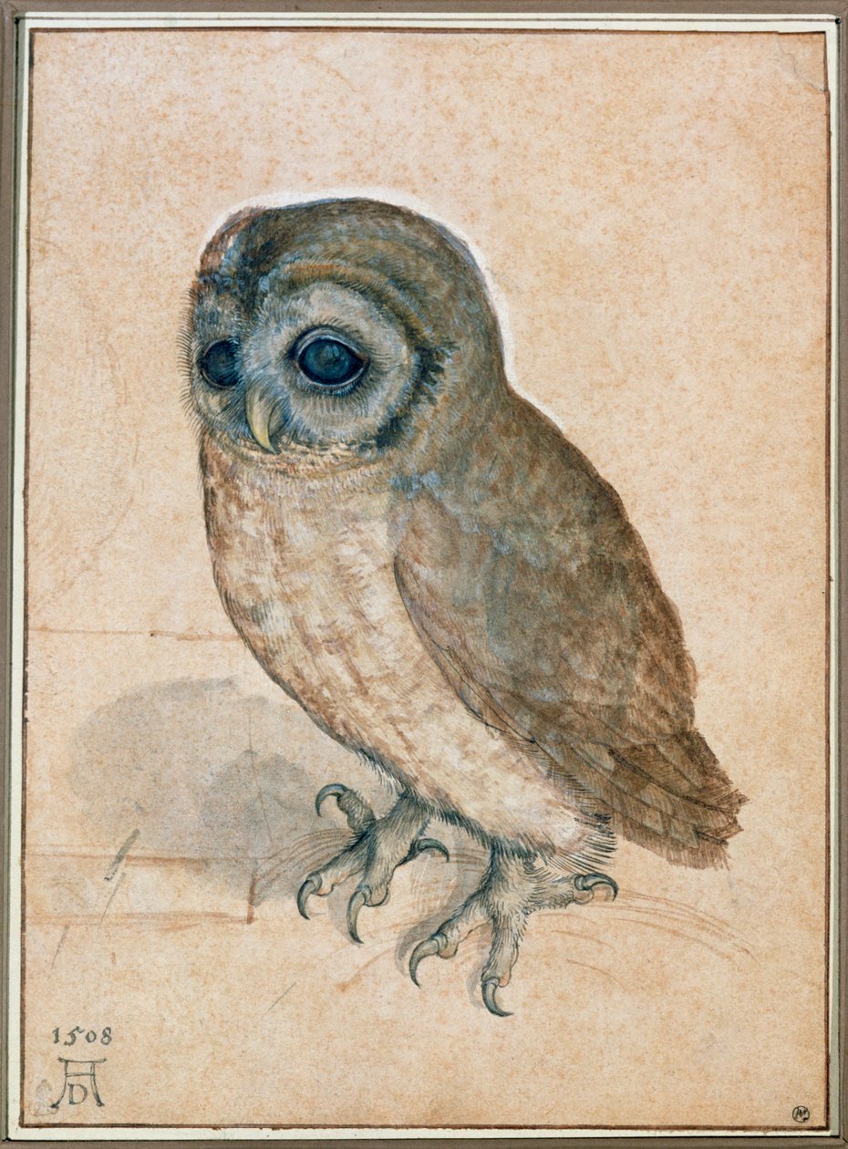  by Albrecht Dürer or Duerer