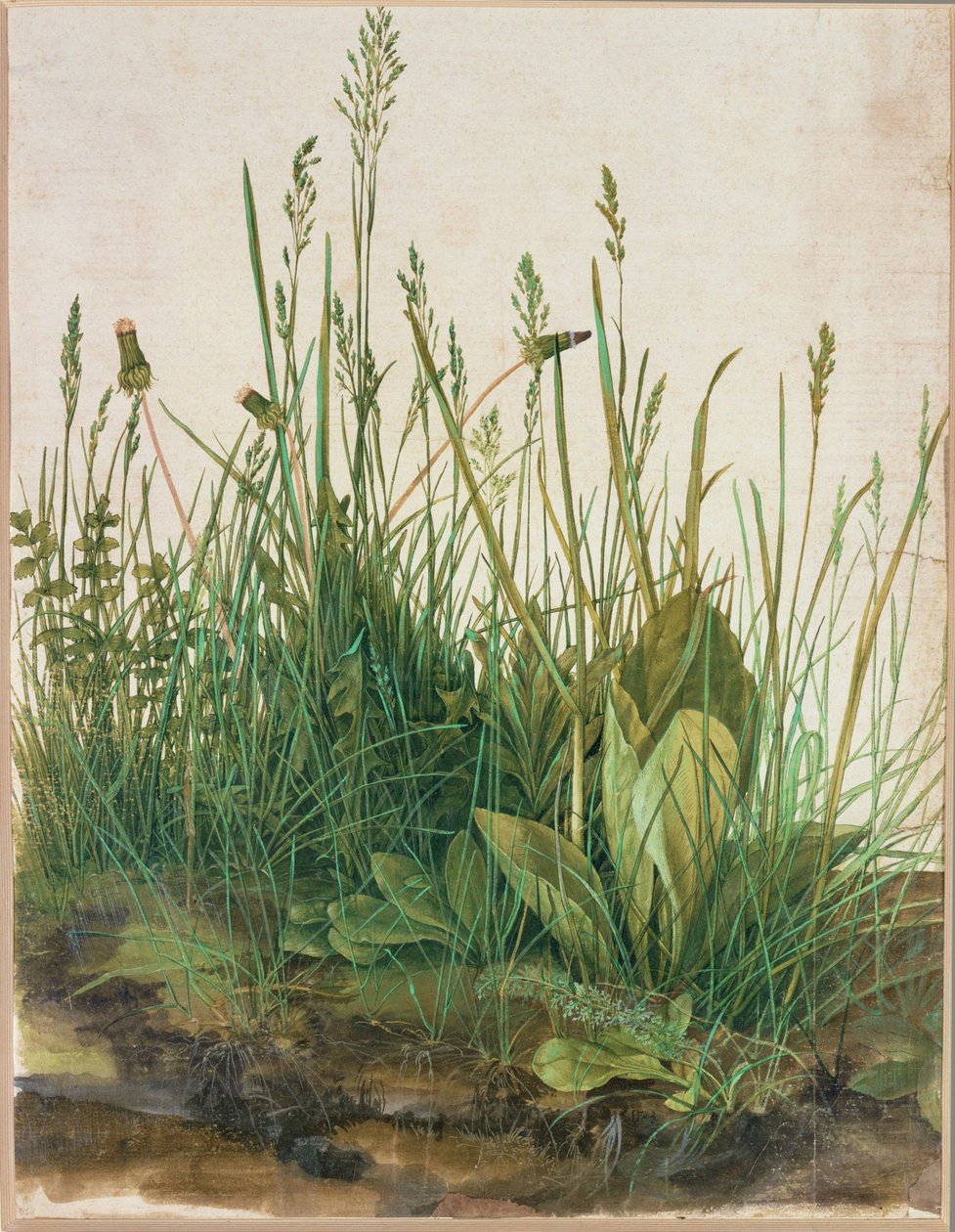  by Albrecht Dürer or Duerer