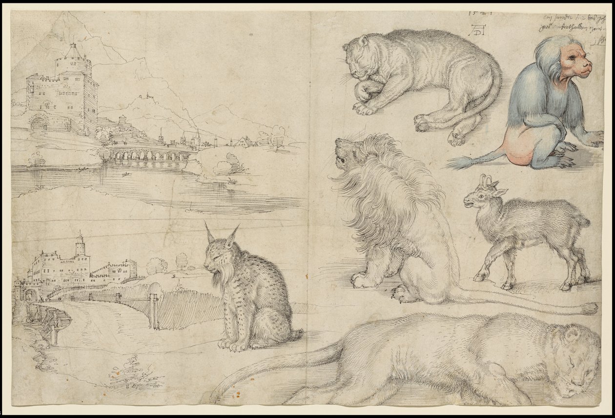 Hayvan ve Manzara Eskizleri, 1521 by Albrecht Dürer