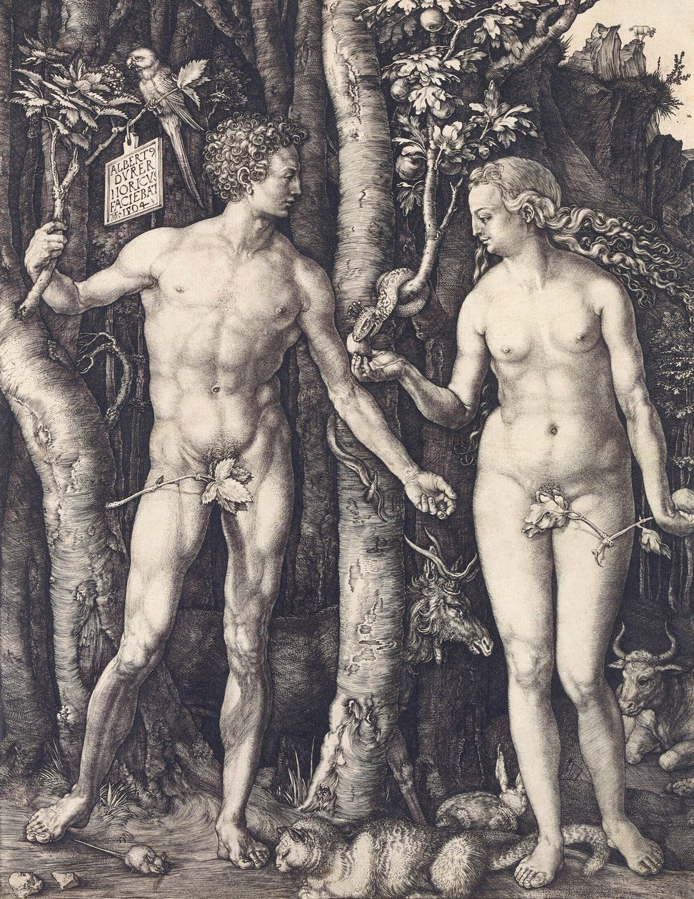 İnsanın Düşüşü, Albrecht Durer by Albrecht Dürer