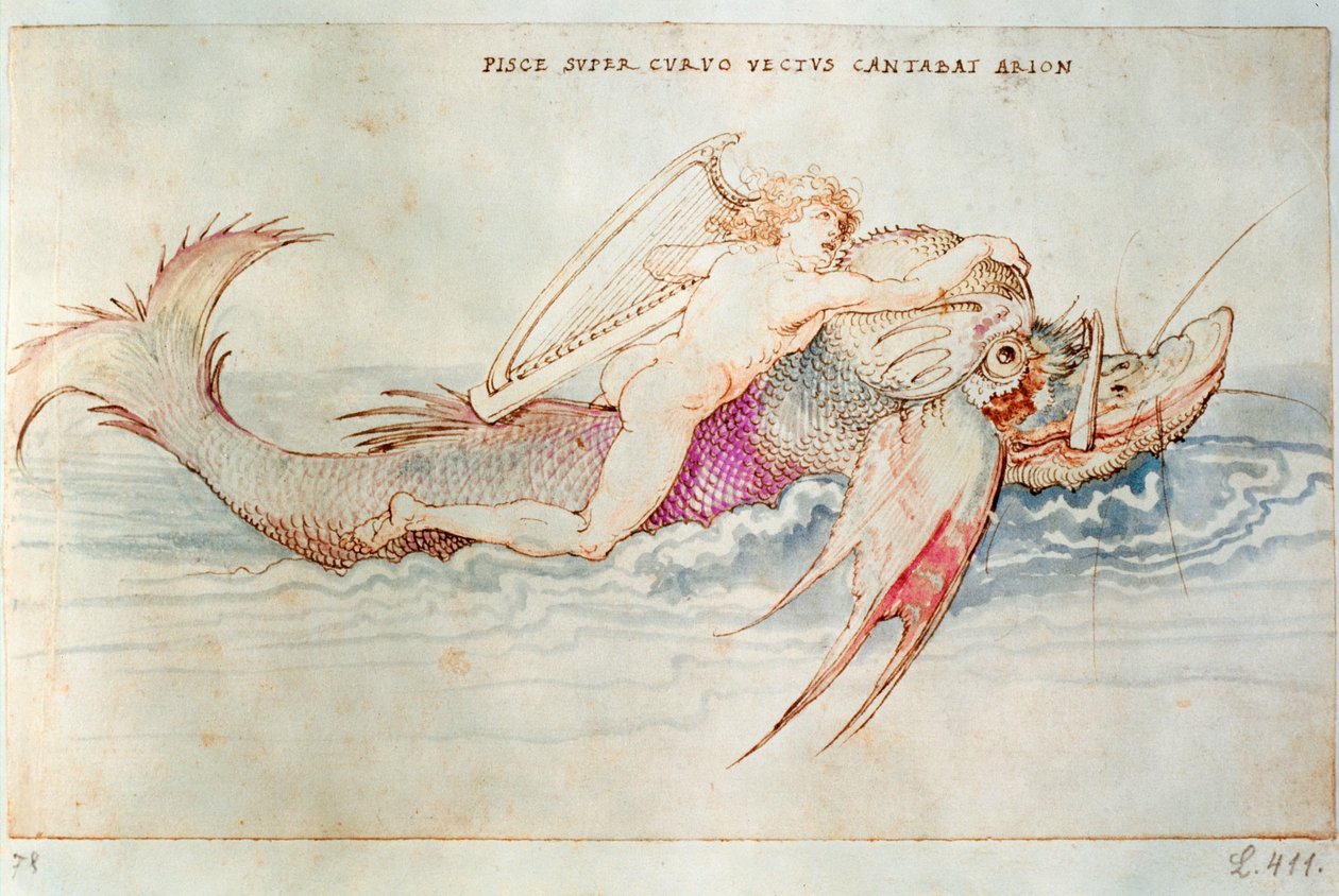  by Albrecht Dürer or Duerer