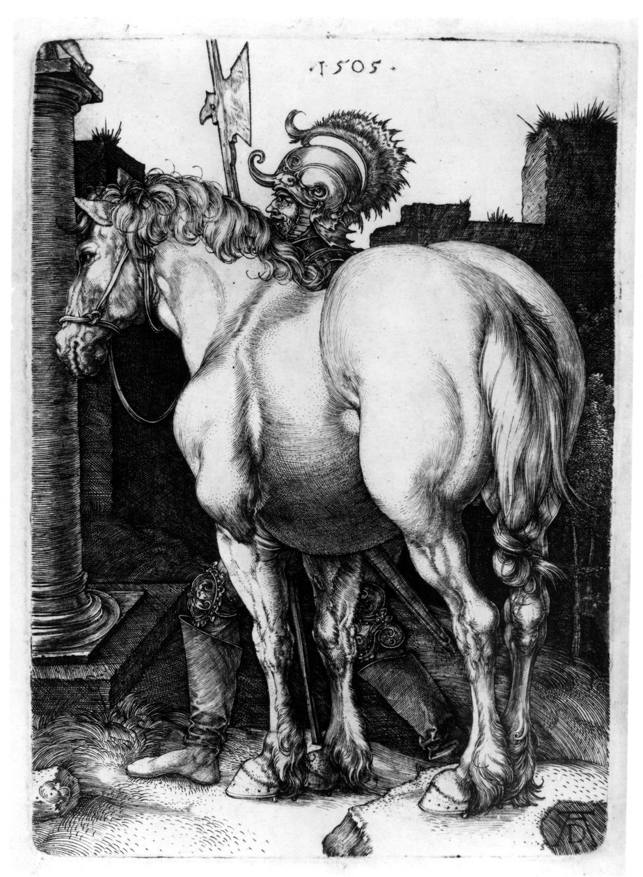 Büyük At, 1509 by Albrecht Dürer