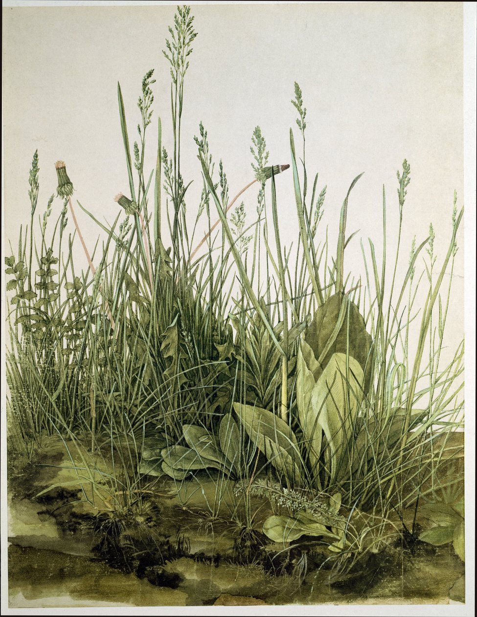  by Albrecht Dürer or Duerer
