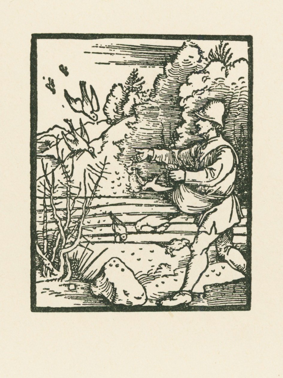  by Albrecht Dürer or Duerer