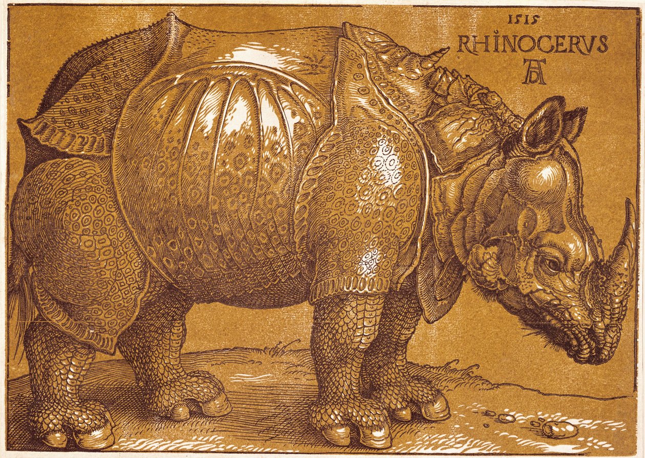  by Albrecht Dürer or Duerer