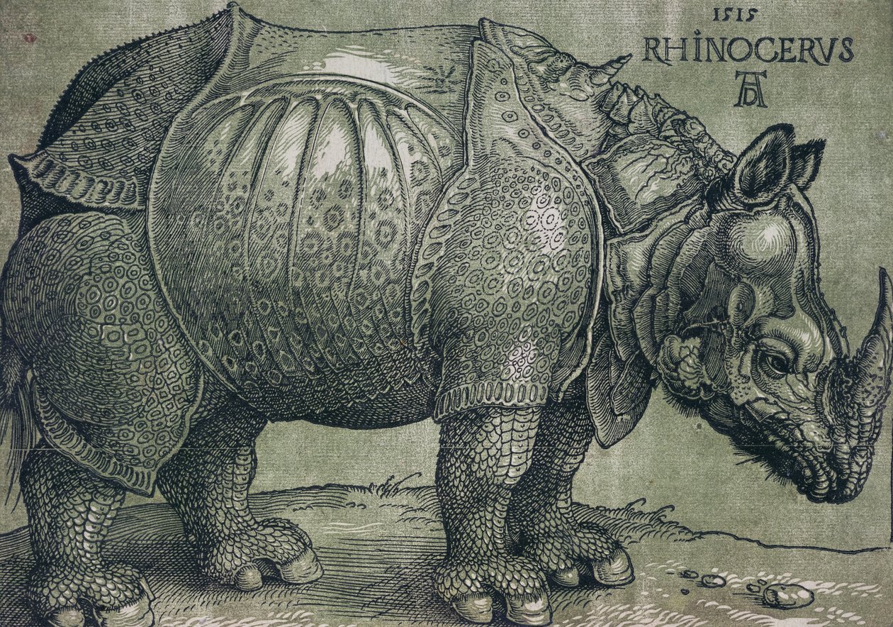 Gergedan, 1515 by Albrecht Dürer