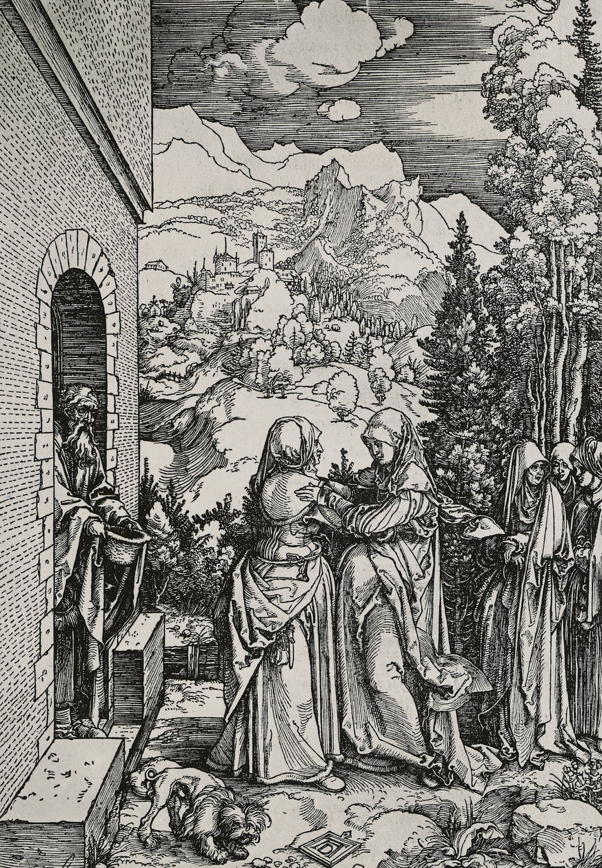 Ziyaret by Albrecht Dürer
