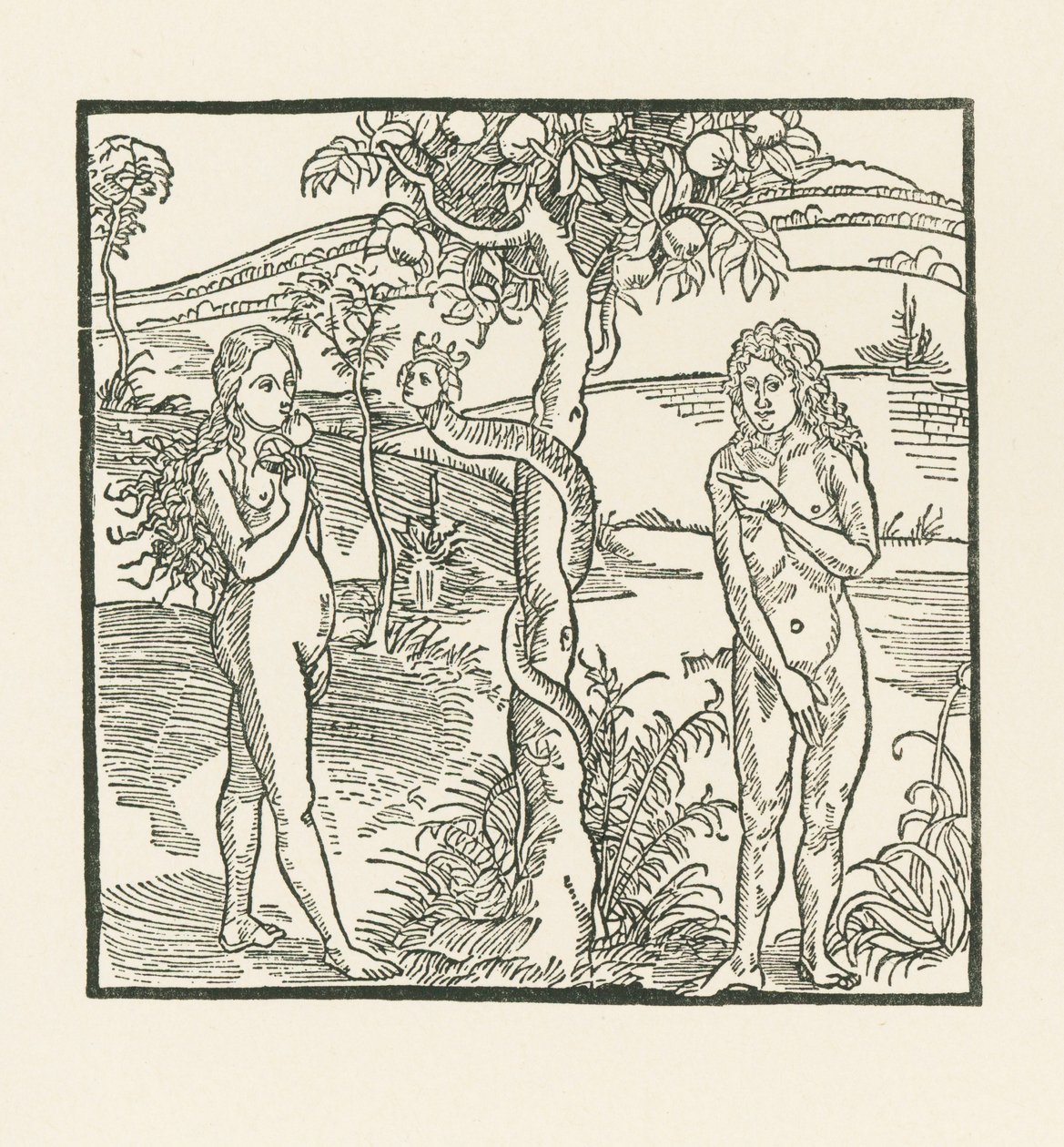  by Albrecht Dürer or Duerer