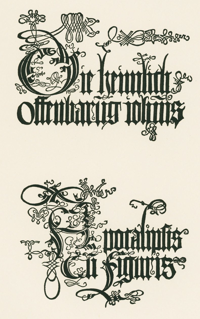  by Albrecht Dürer or Duerer