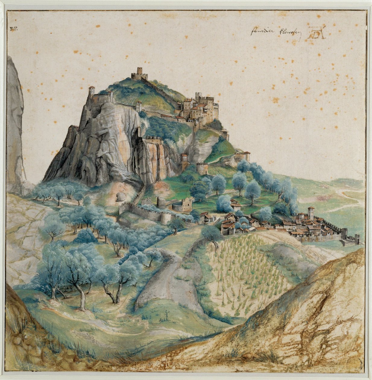  by Albrecht Dürer or Duerer