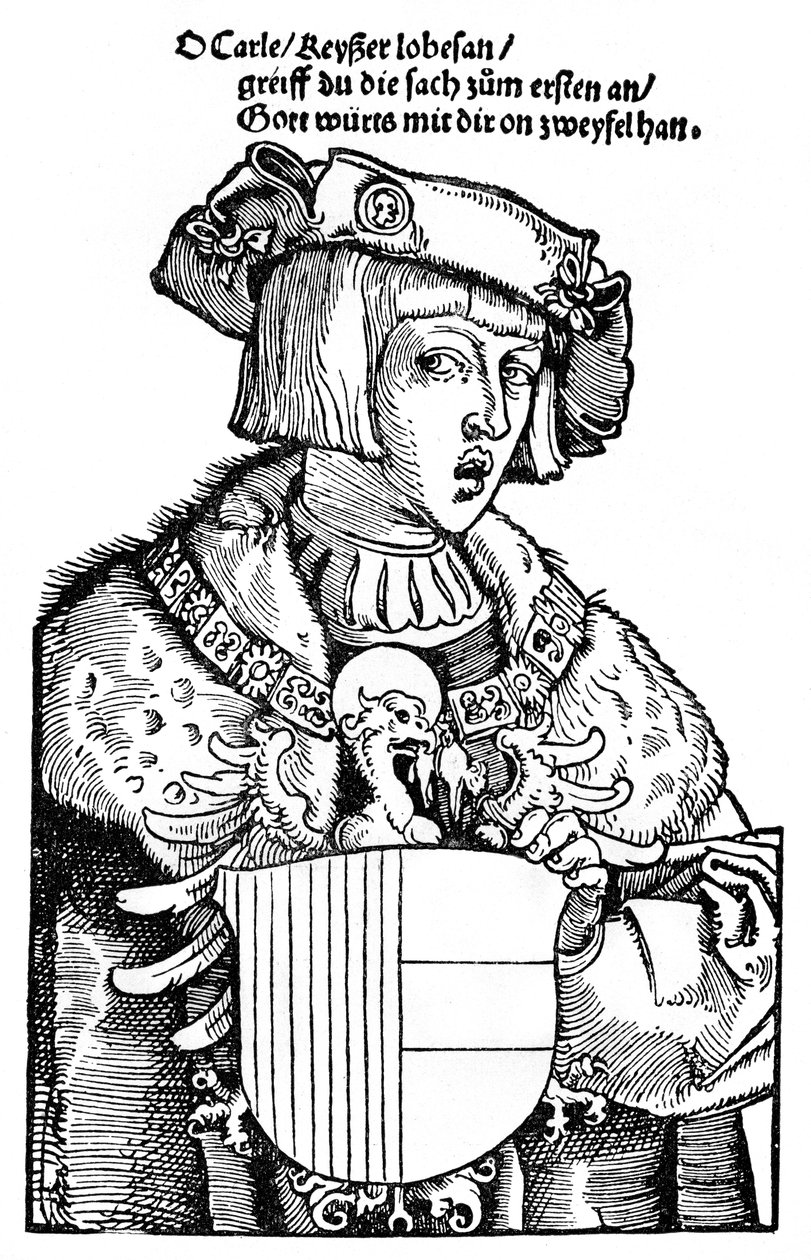 Genç Charles V by Albrecht Dürer