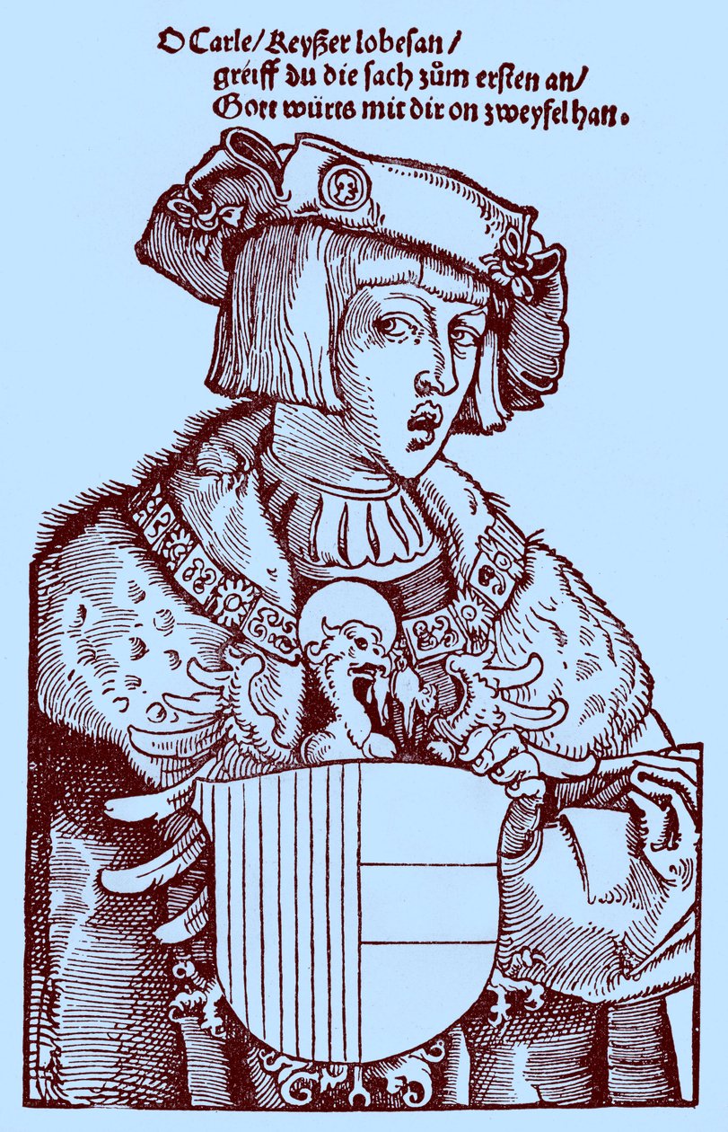 Gençlik Charles V (1500-1558) (gravür) by Albrecht Dürer