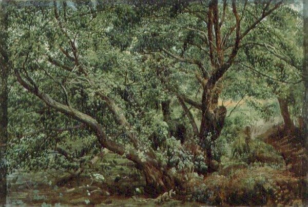 Dere kenarındaki ağaçlar by Aleksandr Andreevich Ivanov