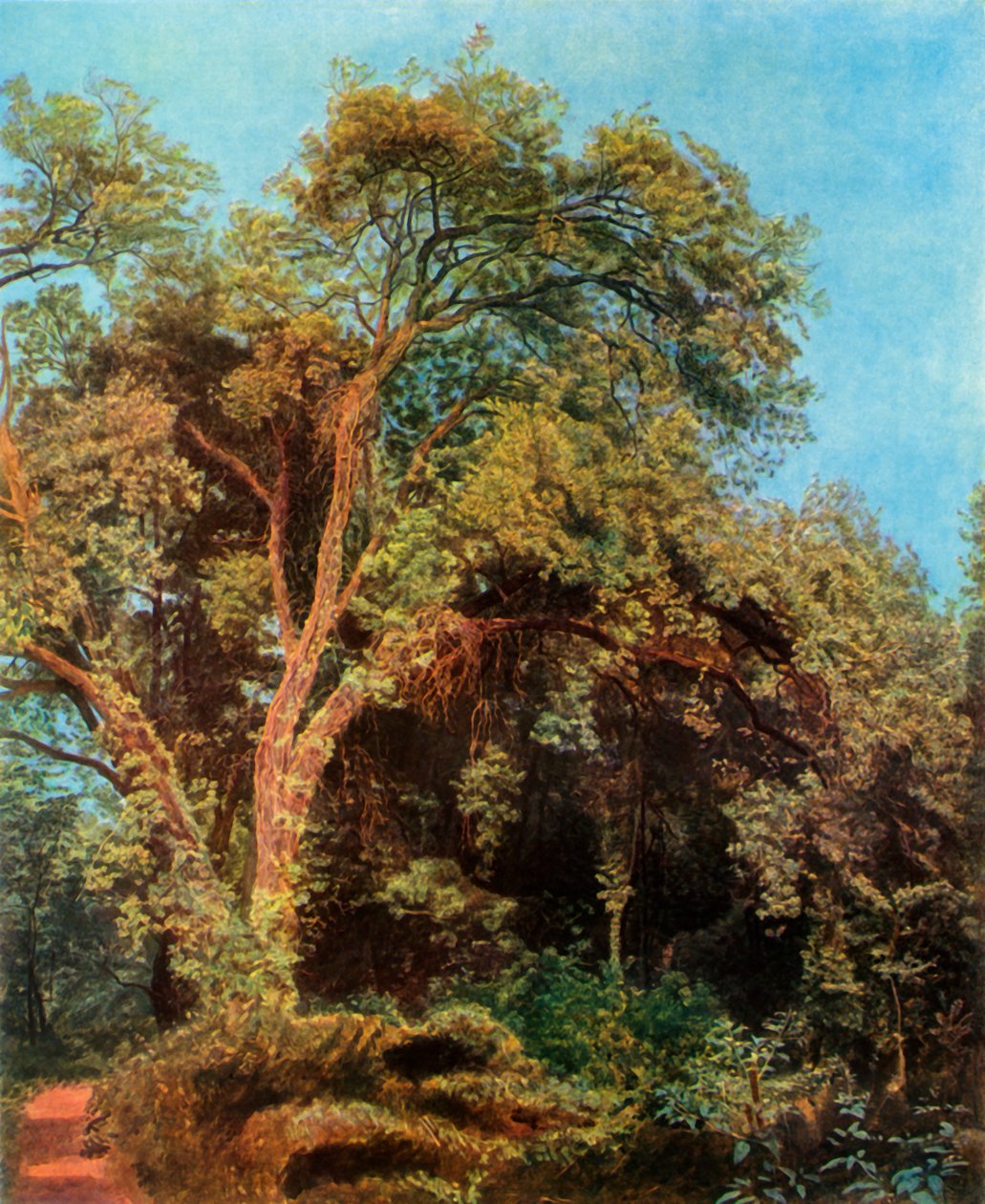 Parktaki Ağaç, 19. yüzyılın ortalarında, 1965. by Aleksandr Ivanov