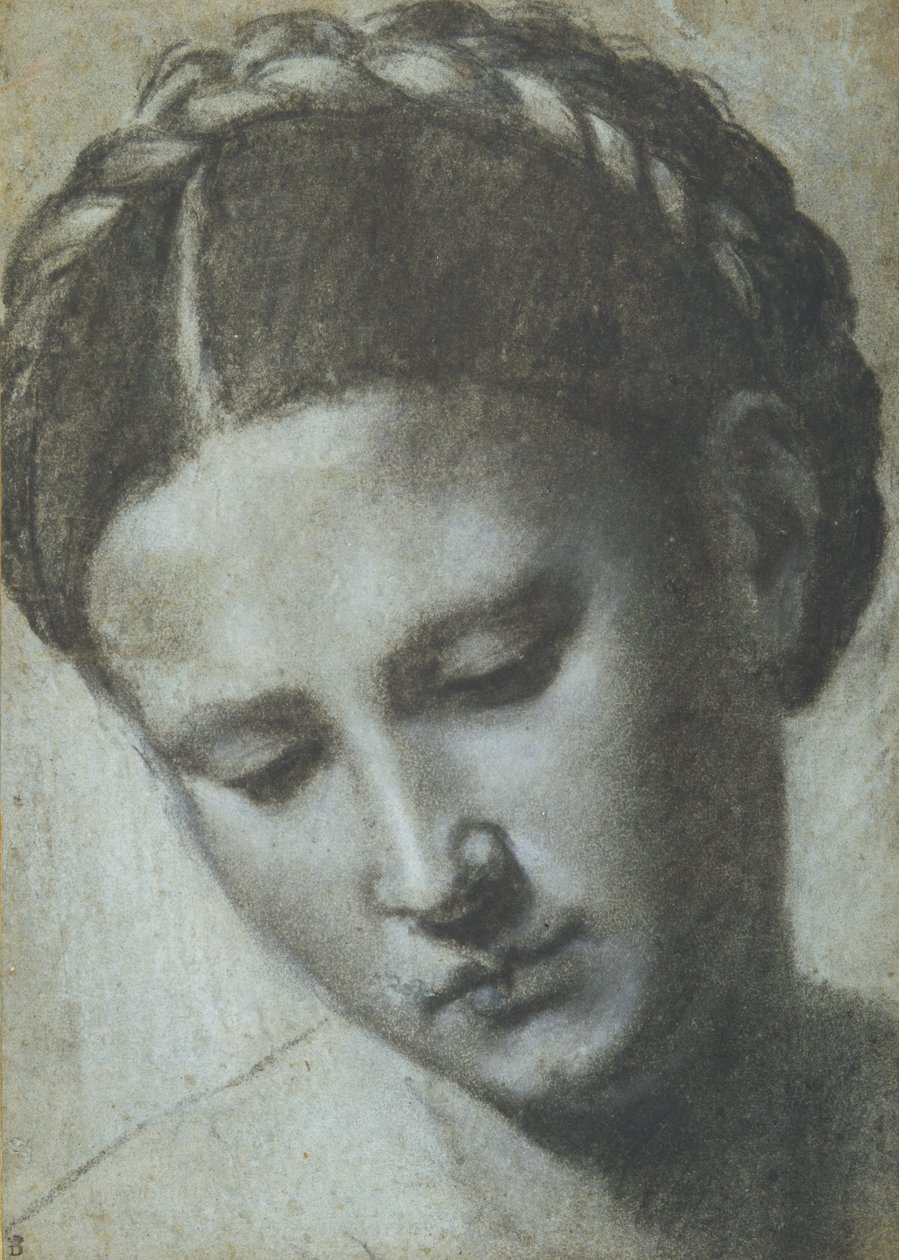 Örgülü saçlı bir kadın kafası (carta azzura üzerinde karakalem ve beyaz tebeşir) by Alessandro Bonvicino Moretto