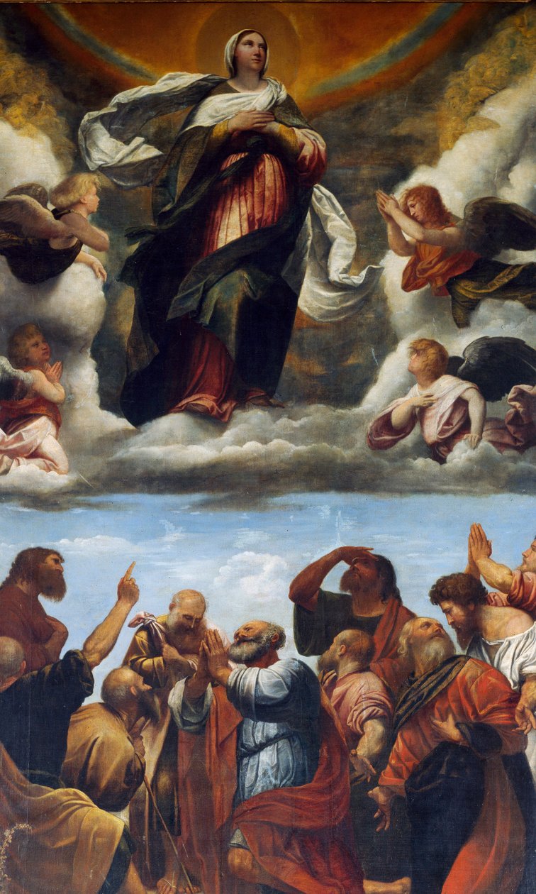 Varsayım, Altarpiece (ahşap üzerine yağ by Alessandro Bonvicino Moretto