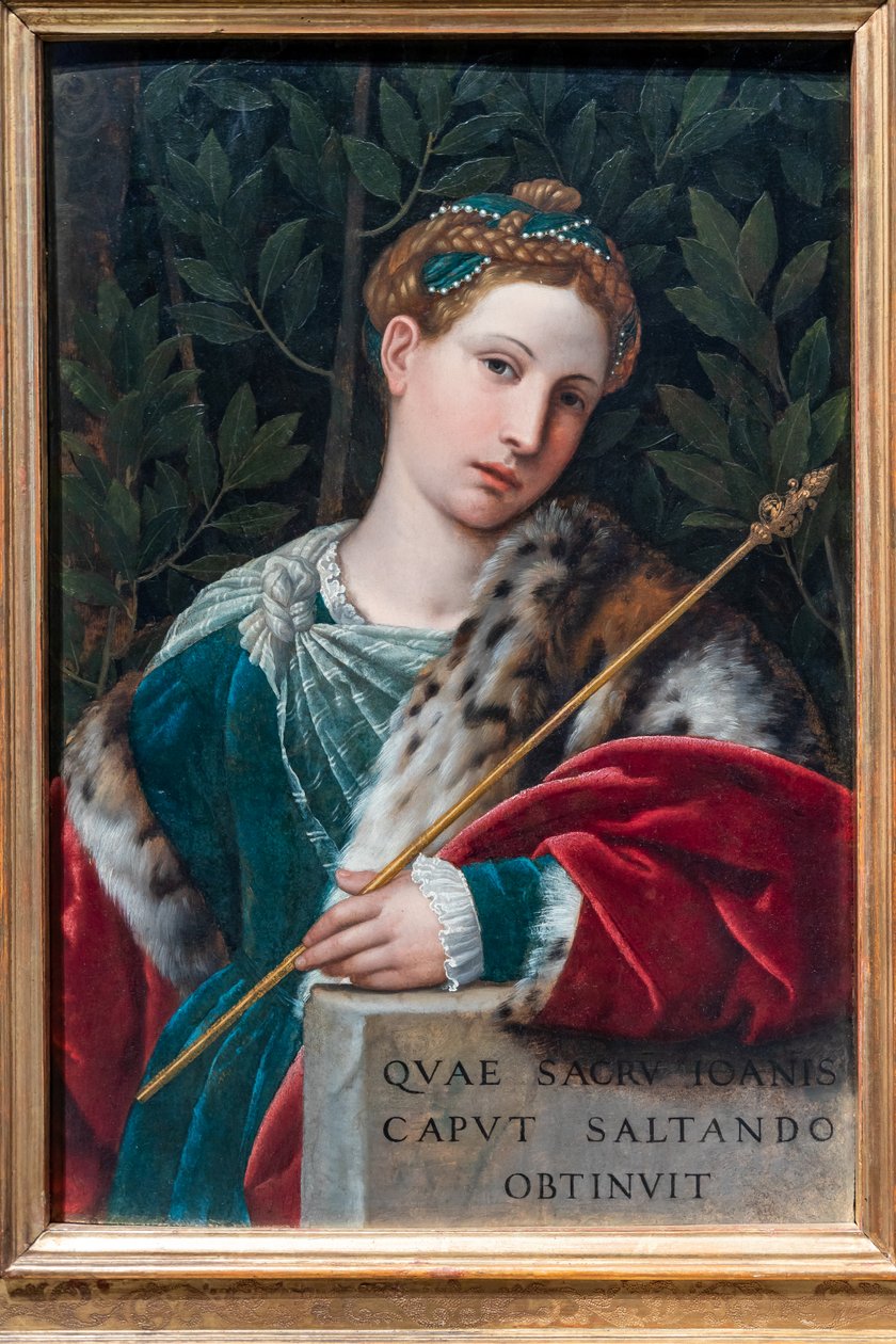 Salome gibi bir beyefendinin portresi, c.1537 (panelde yağlı boya) by Alessandro Bonvicino Moretto