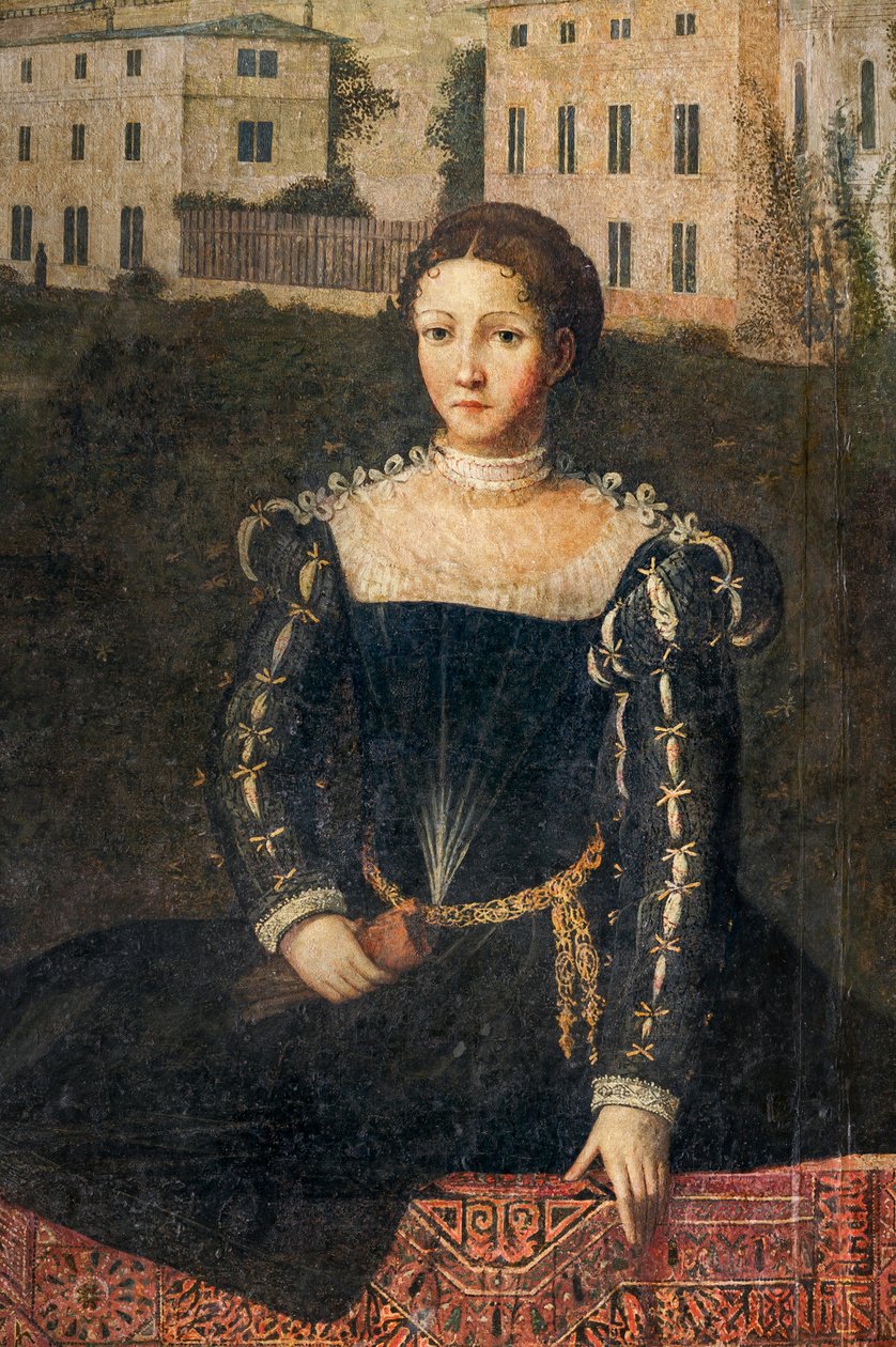 Soylu bir kadının portresi, Soylu Hanımların Küçük Odasının detayı (duvarlara yapıştırılmış tuval üzerine yağlı boya) by Alessandro Bonvicino Moretto