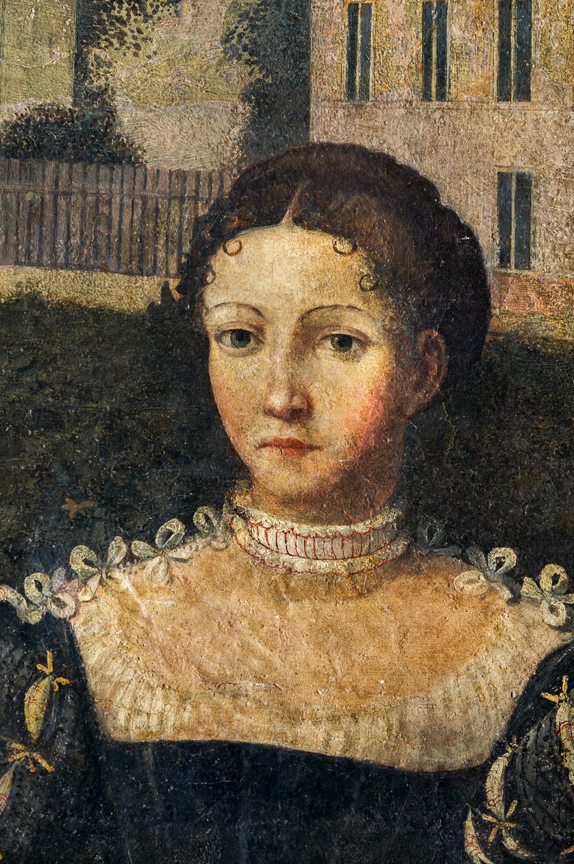 Soylu bir kadının portresi, Soylu Hanımların Küçük Odasının detayı (duvarlara yapıştırılmış tuval üzerine yağlı boya) by Alessandro Bonvicino Moretto