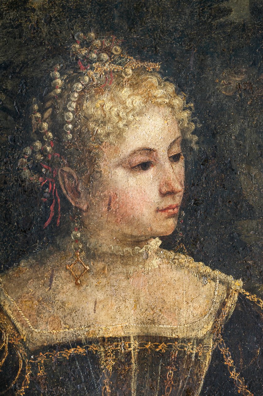 Soylu bir kadının portresi, Soylu Hanımların Küçük Odasının detayı (duvarlara yapıştırılmış tuval üzerine yağlı boya) by Alessandro Bonvicino Moretto