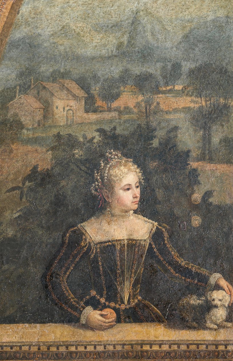Soylu bir kadının portresi, Soylu Hanımların Küçük Odasının detayı (duvarlara yapıştırılmış tuval üzerine yağlı boya) by Alessandro Bonvicino Moretto