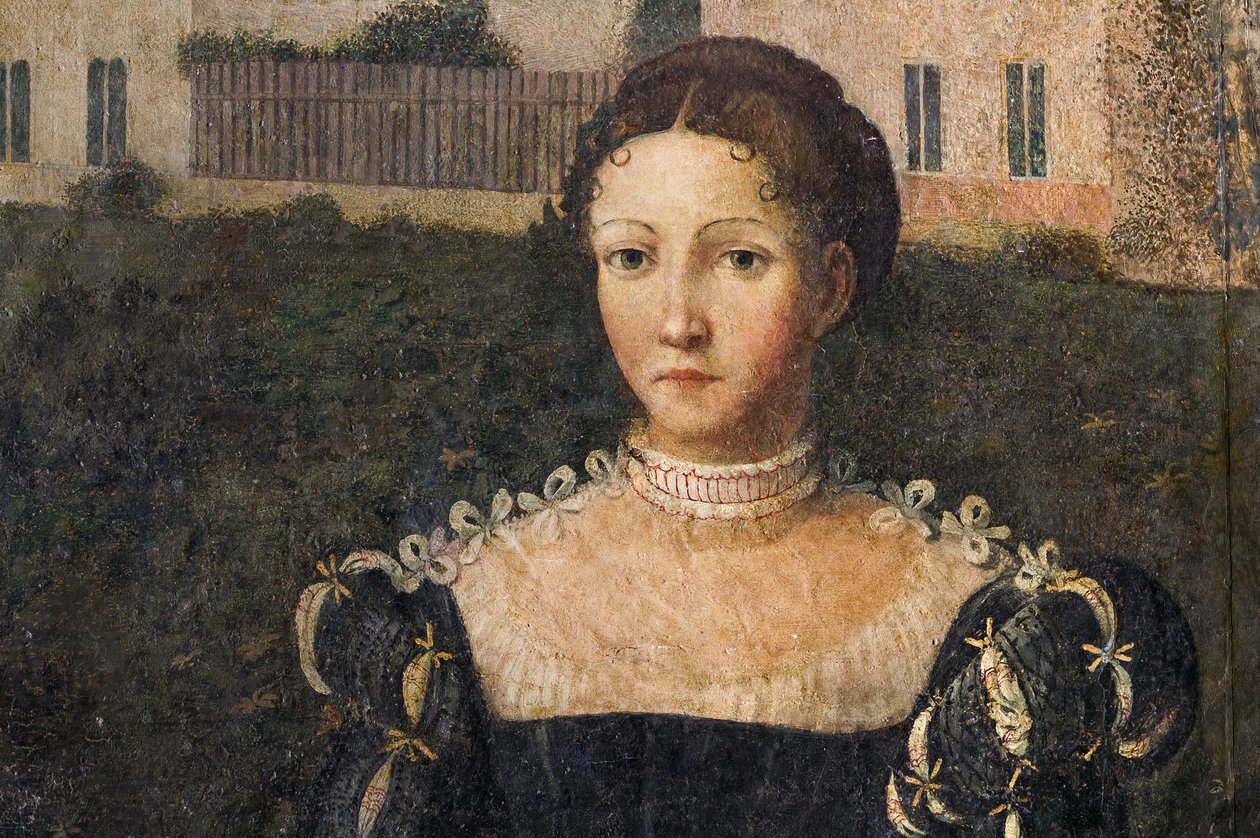 Soylu bir kadının portresi, Soylu Hanımların Küçük Odasının detayı (duvarlara yapıştırılmış tuval üzerine yağlı boya) by Alessandro Bonvicino Moretto
