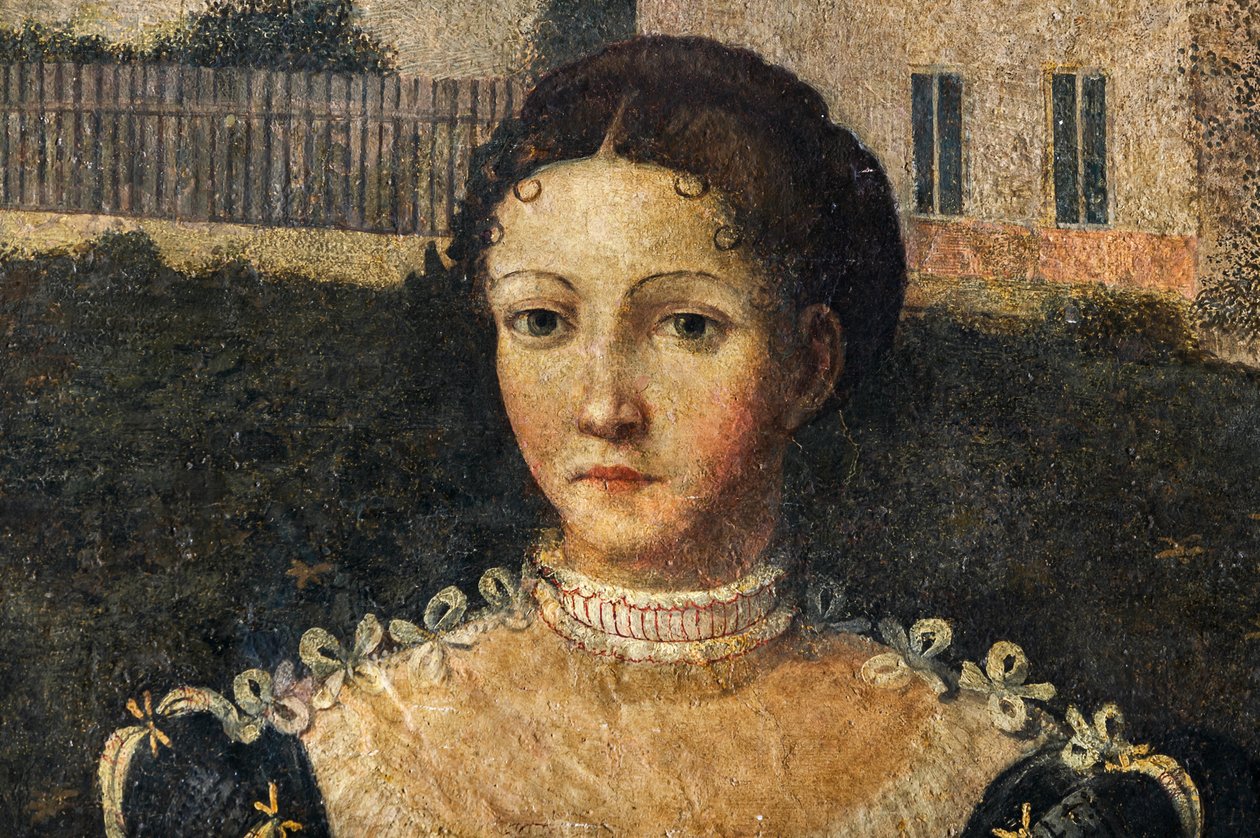 Soylu bir kadının portresi, Soylu Hanımların Küçük Odasının detayı (duvarlara yapıştırılmış tuval üzerine yağlı boya) by Alessandro Bonvicino Moretto