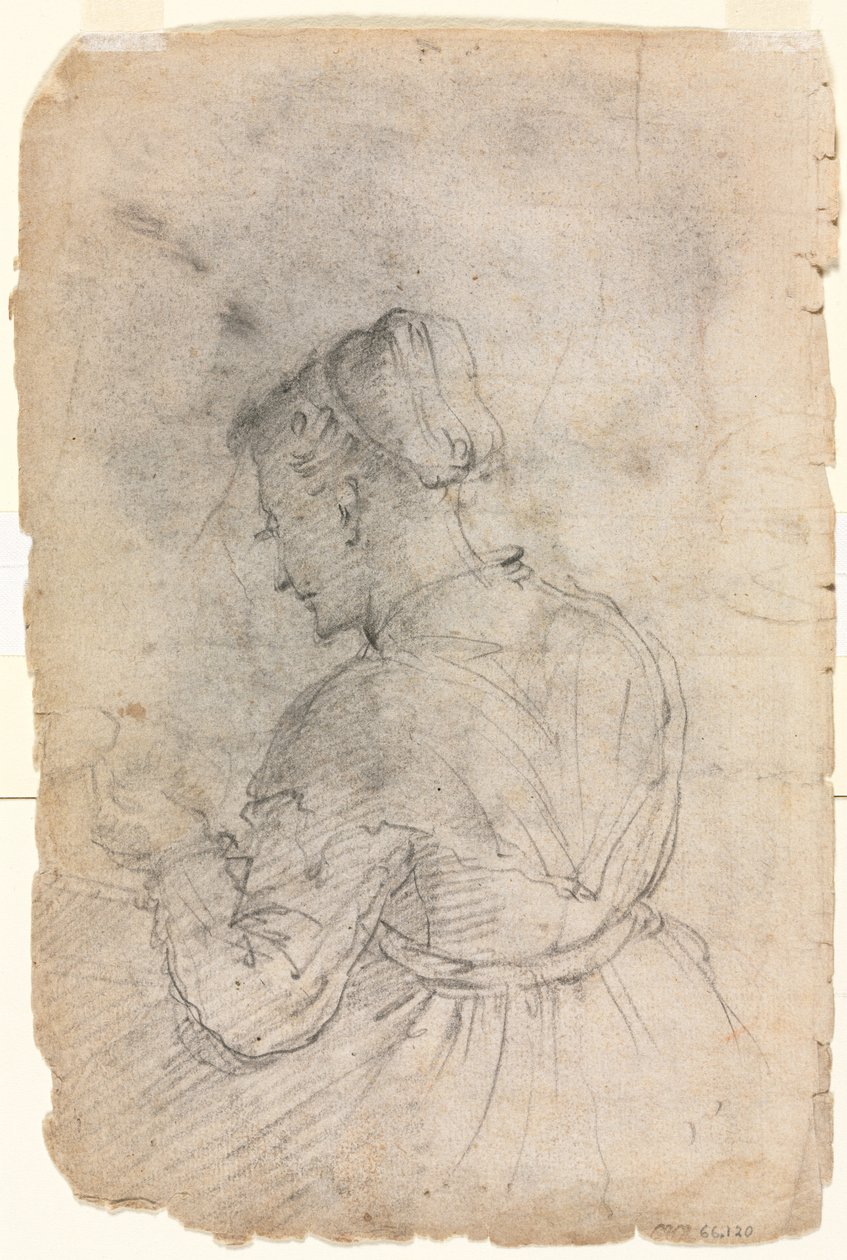 Bir Mutfak Hizmetçisi, 1500