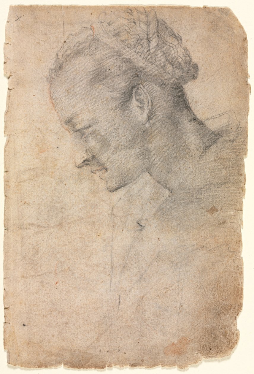 Bir Kadın Kafasının Profili, 1500