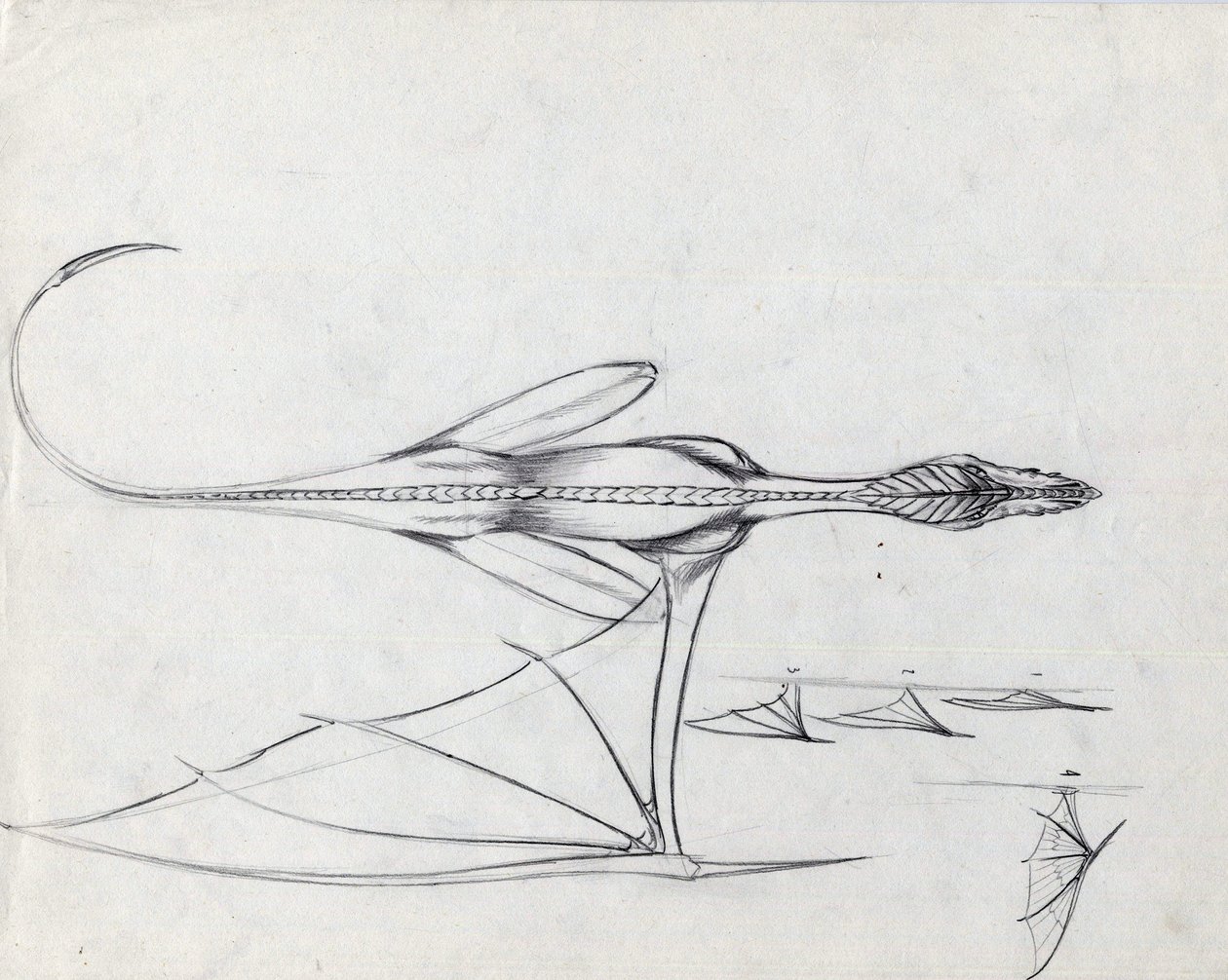 Fantastik illüstrasyon için efsanevi hayvan: Study for a dragon Çizim, Alessandro Lonati by Alessandro Lonati