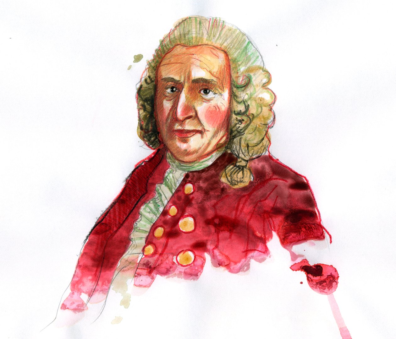 Carl Linnaeus'un Portresi, ardından Carl von Linne (1707-1778) İsveçli doğa bilimci (Carl Linnaeus'un Portresi) by Alessandro Lonati