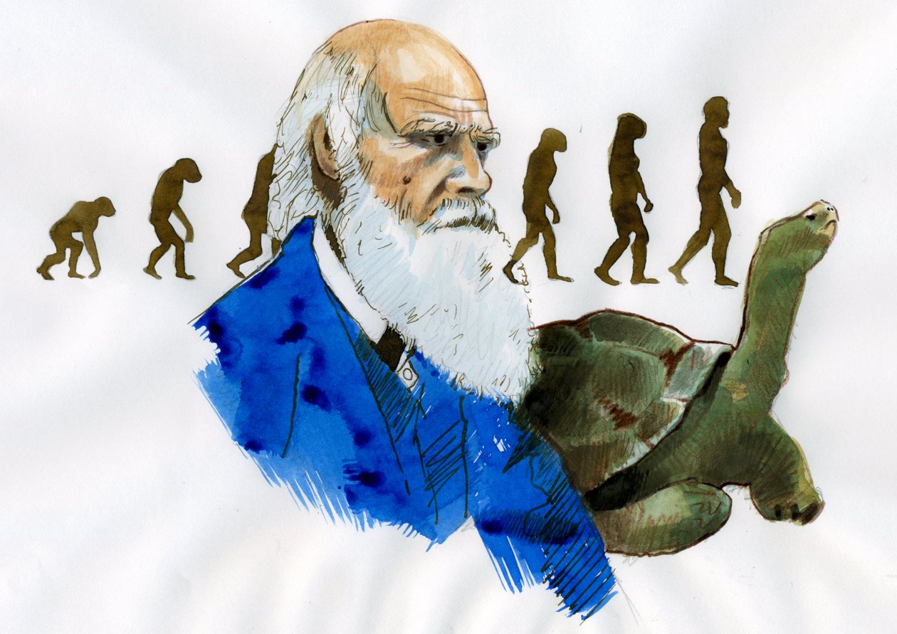 Charles Darwin'in Portresi - İngiliz doğa bilimci Charles Darwin'in Portresi (1809-1882) İllüstrasyonu by Alessandro Lonati