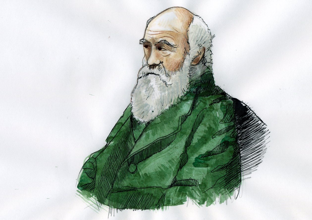 Charles Darwin'in Portresi - İngiliz doğa bilimci Charles Darwin'in Portresi (1809-1882) İllüstrasyonu by Alessandro Lonati
