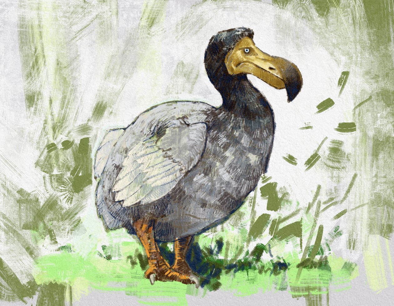 Soyu tükenmiş dodo kuşunun temsili (resim) by Alessandro Lonati