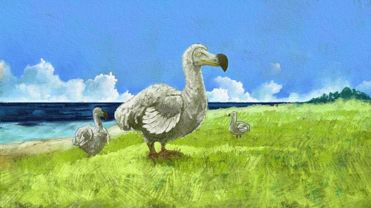 Soyu tükenmiş dodo kuşunun temsili (resim) by Alessandro Lonati