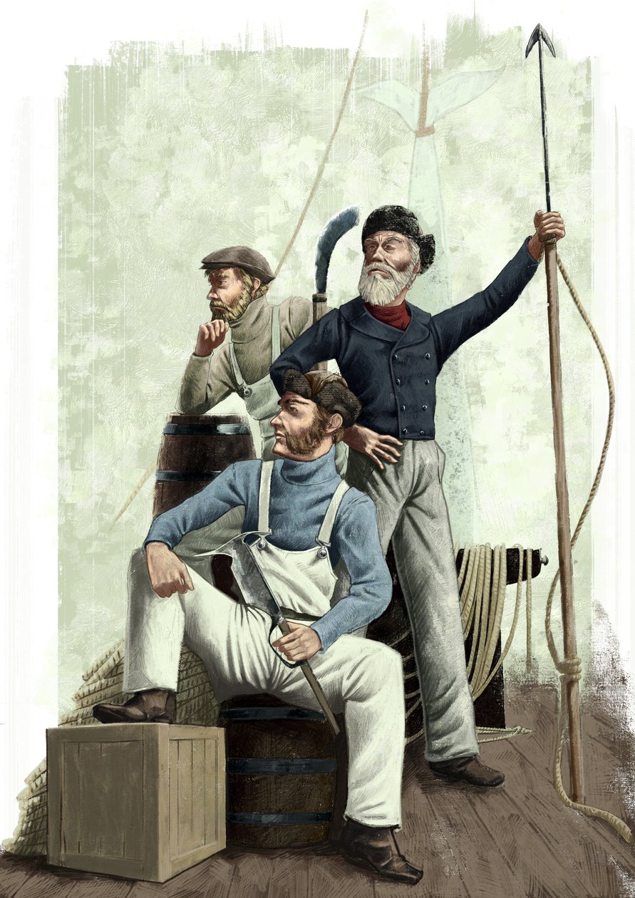 üç balina by Alessandro Lonati