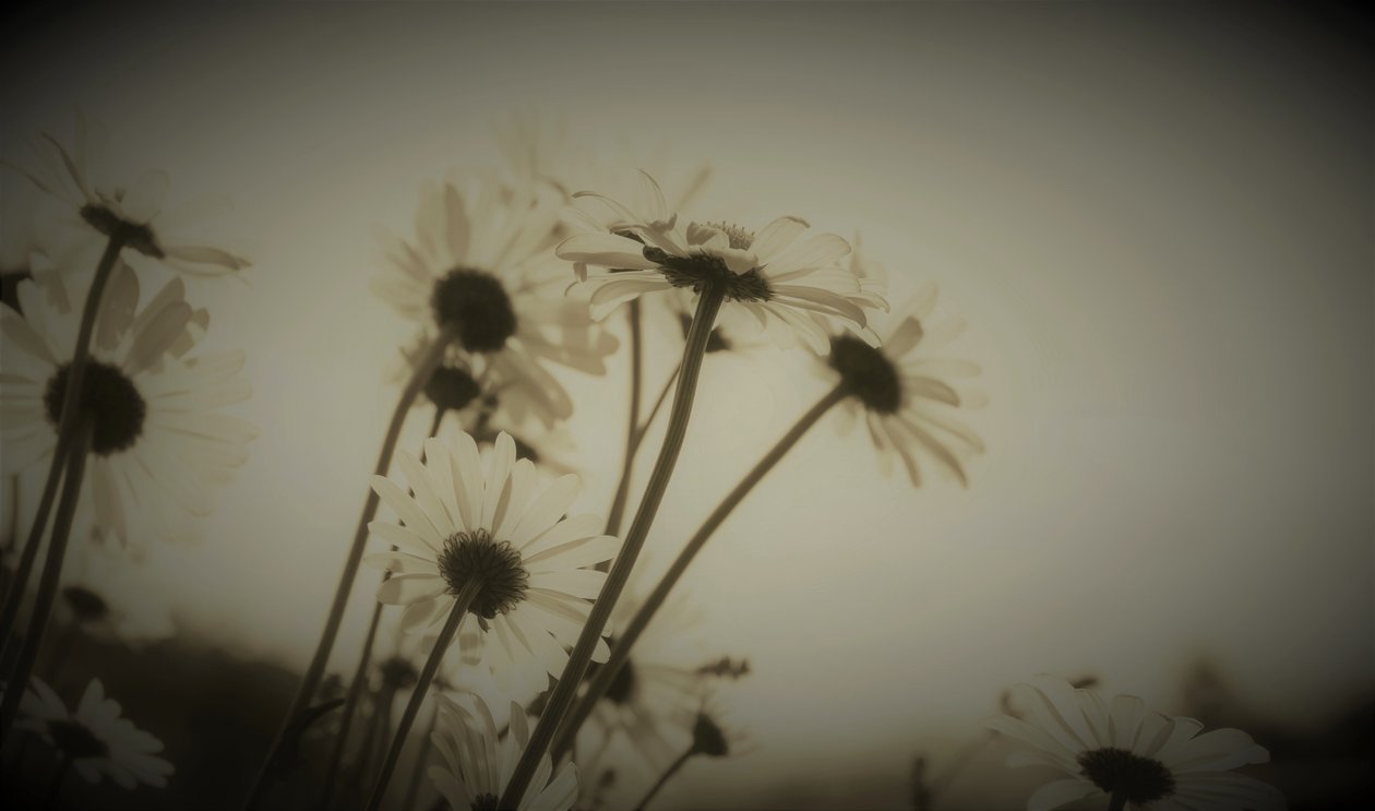 Bölüm,2019,(fotoğraf) by Alex Caminker
