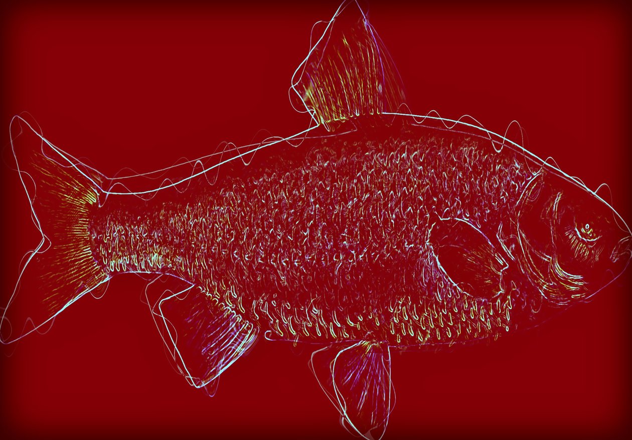 Fish V,2020 ,(karışık ortam) by Alex Caminker