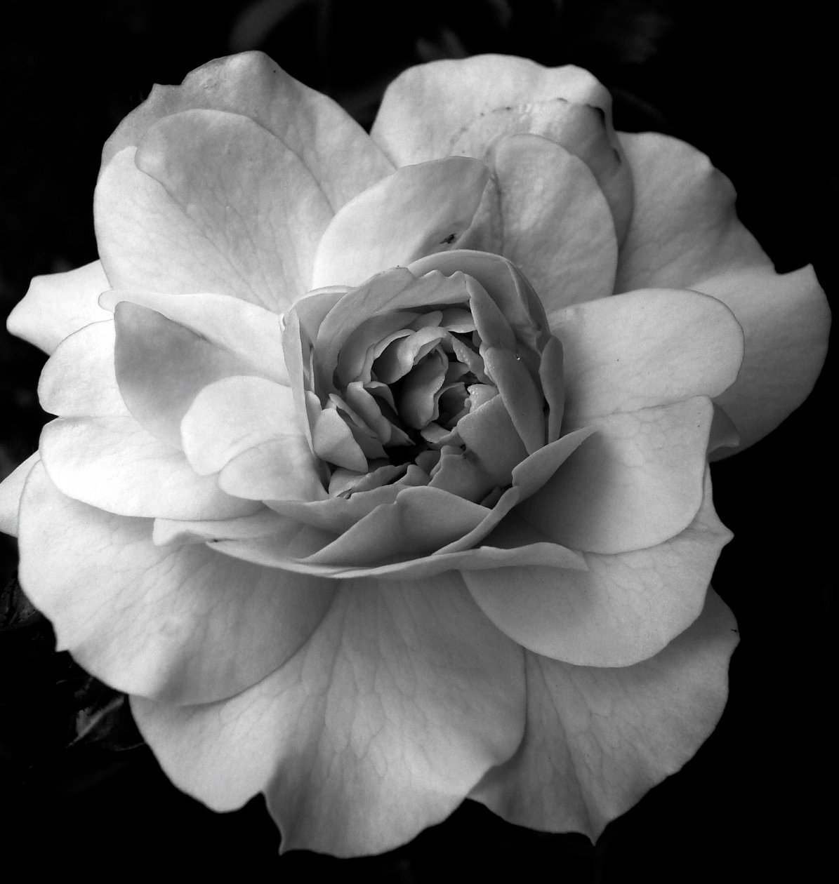 Nesne,2019,(fotoğraf) by Alex Caminker