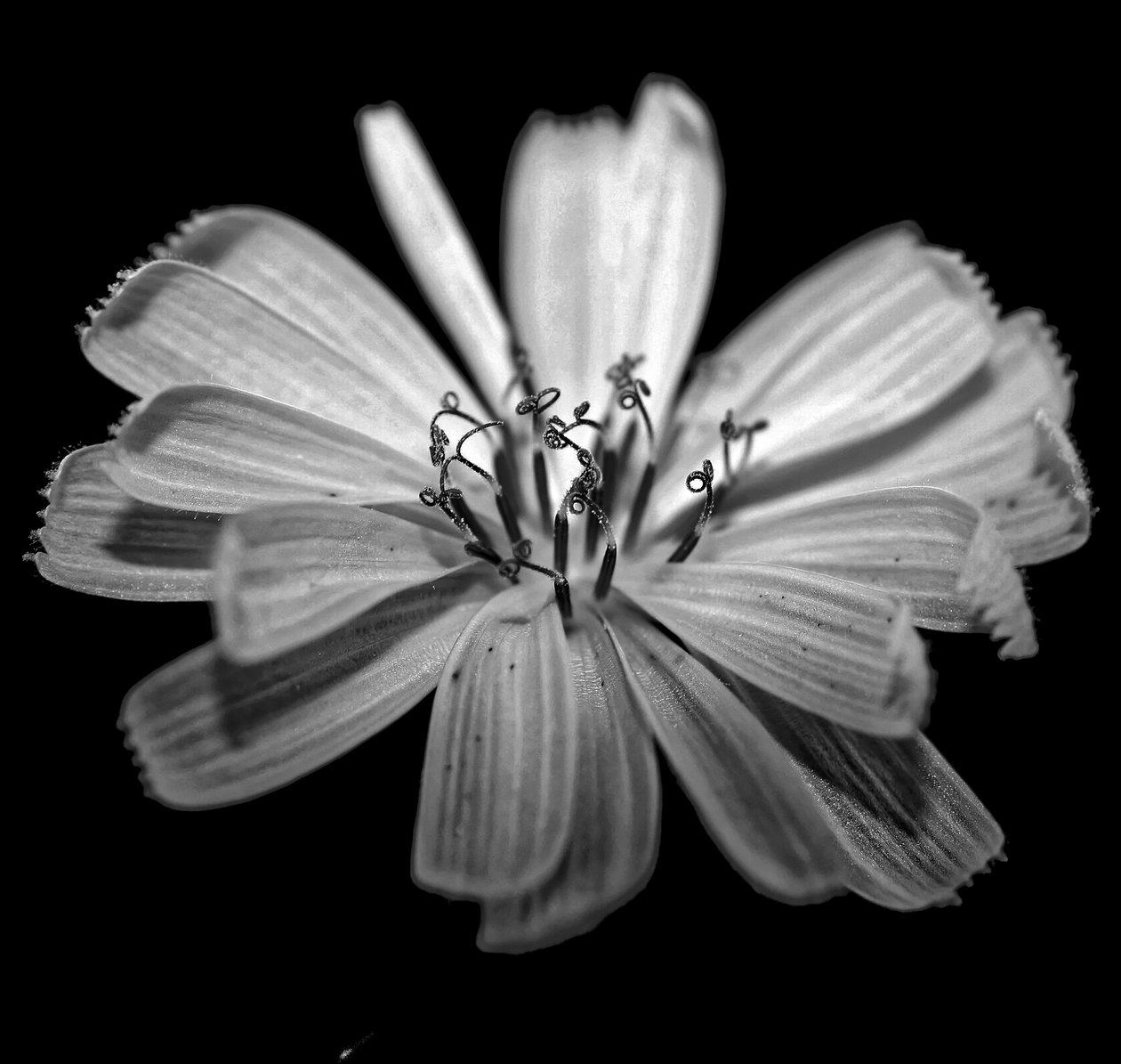 İsimsiz,2019,(fotoğraf) by Alex Caminker