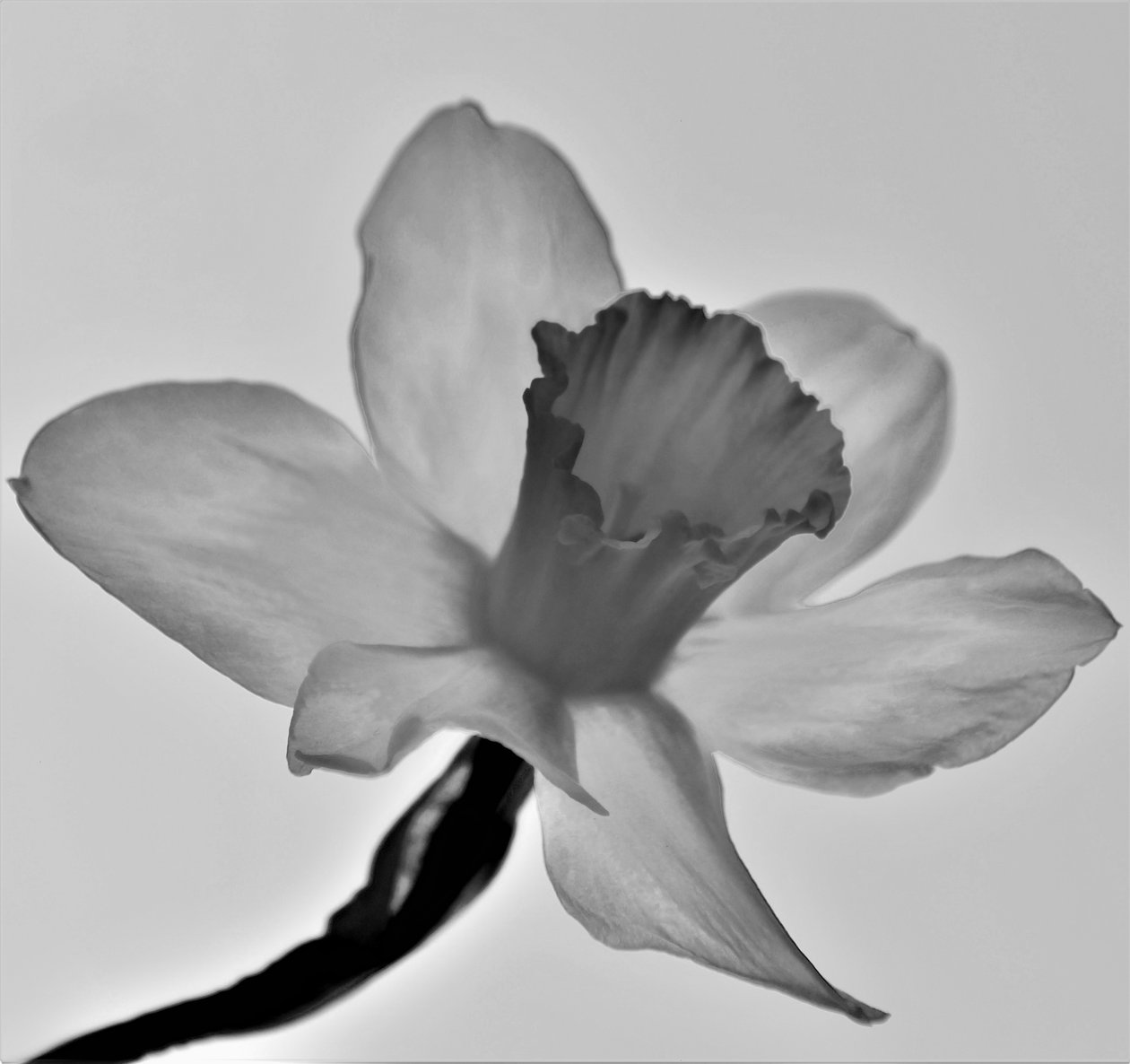 İsimsiz,2019,(fotoğraf) by Alex Caminker