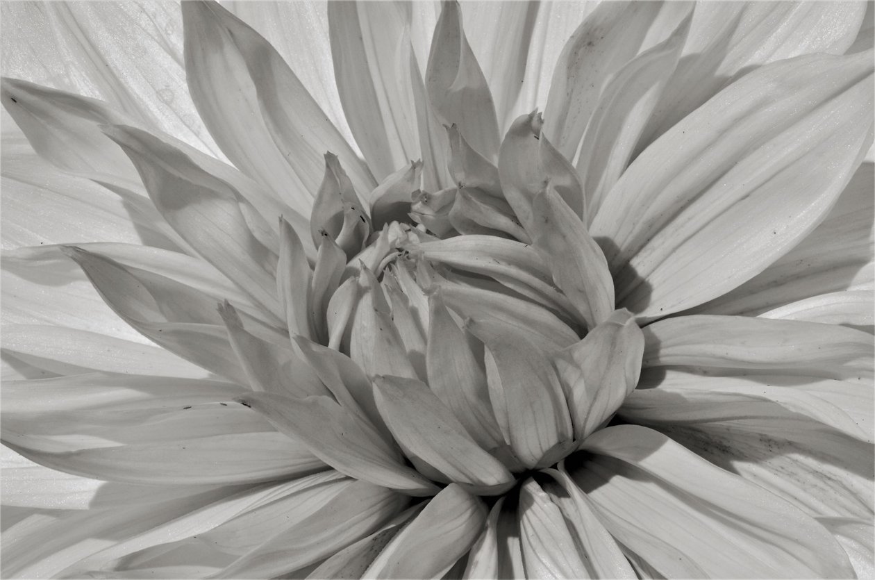 İsimsiz,2019,(fotoğraf) by Alex Caminker
