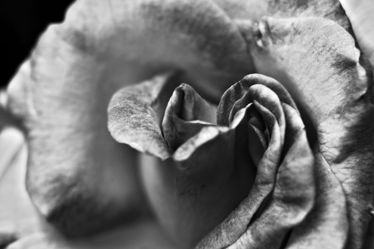 İsimsiz,2019,(fotoğraf) by Alex Caminker