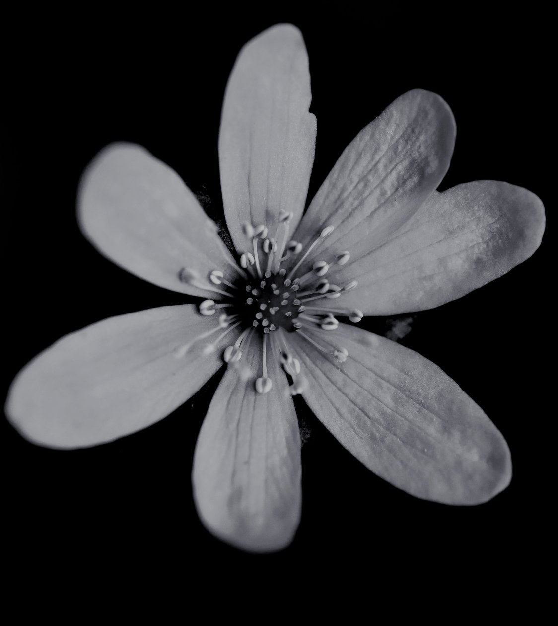 İsimsiz,2019,(fotoğraf) by Alex Caminker