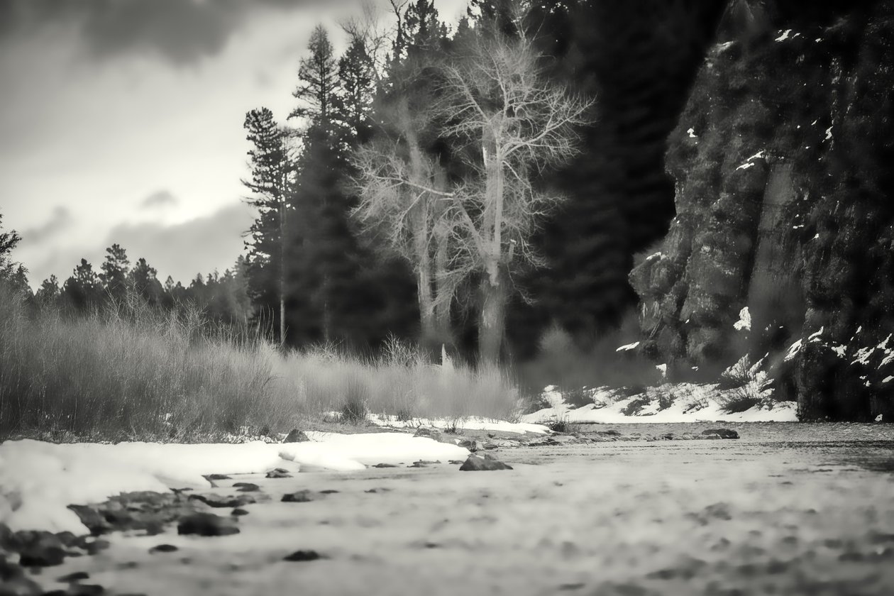 aksan,2019,(fotoğraf) by Alex Caminker