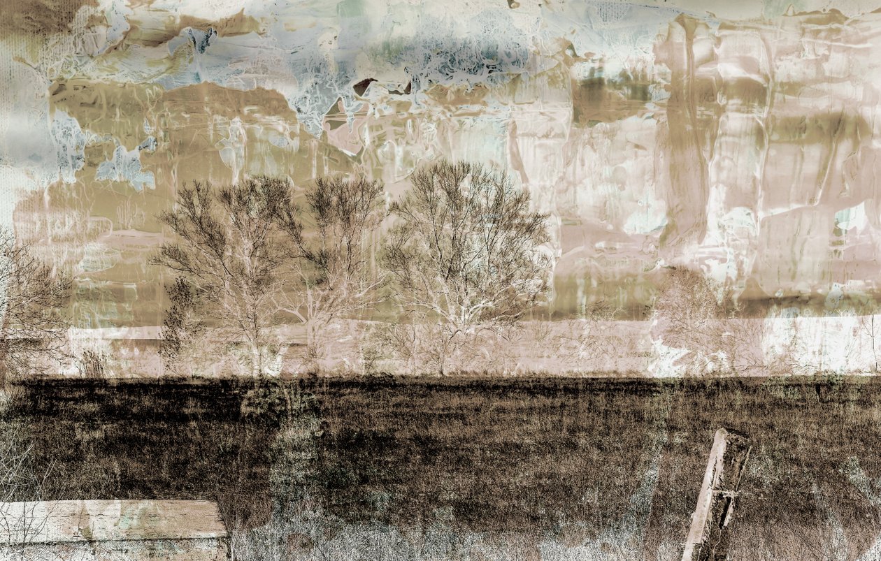 kahverengi sis,2019,(karışık ortam) by Alex Caminker