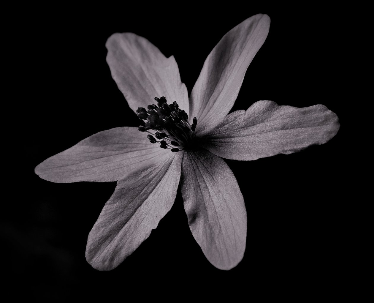 inşaat,2019,(fotoğraf) by Alex Caminker