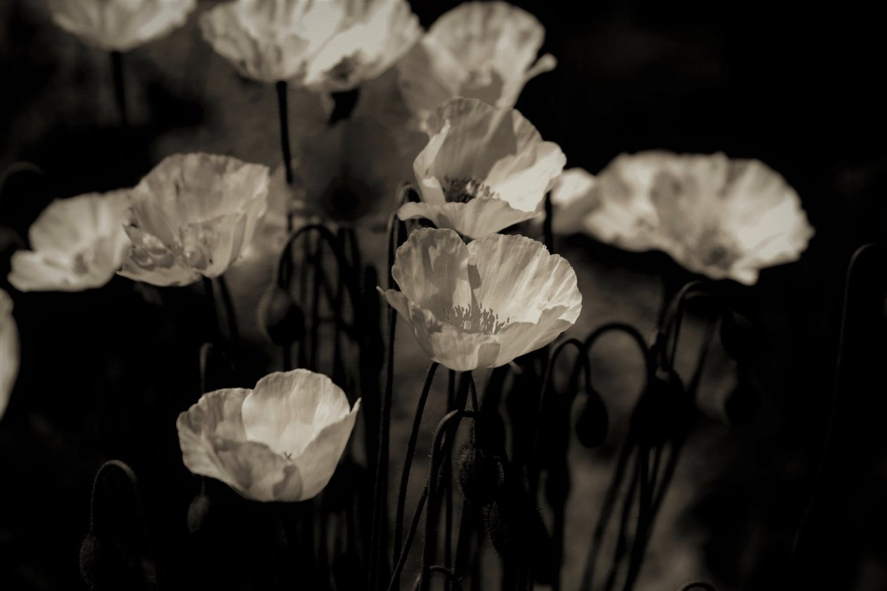 birimlerin dosyalanması,2019,(fotoğraf) by Alex Caminker