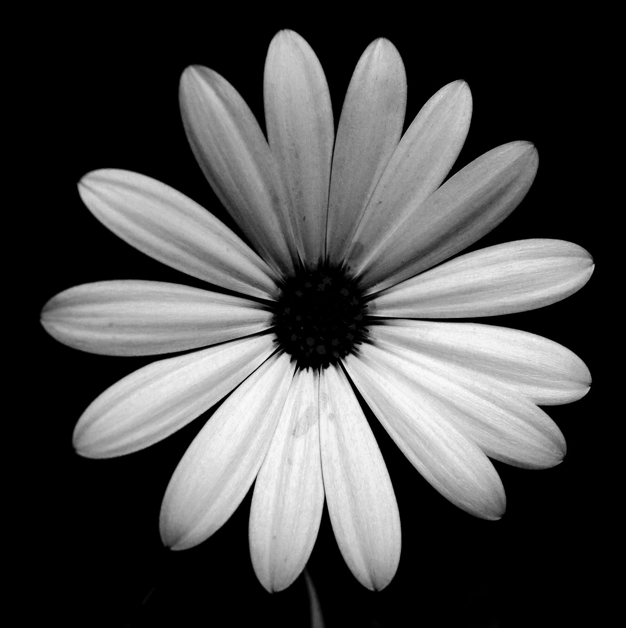 beş kere üç,2019,(fotoğraf) by Alex Caminker